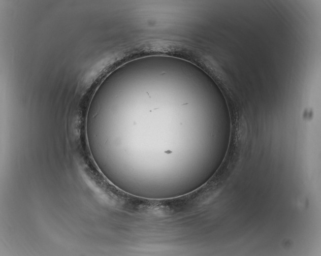X0000111950683200907271437
