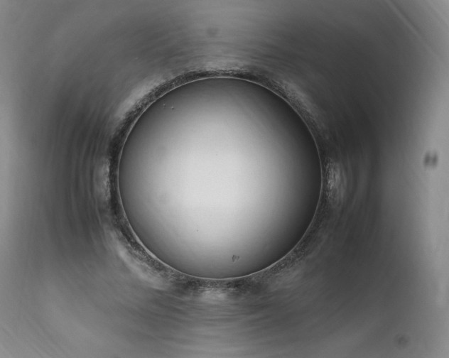 X0000111950684200907271437