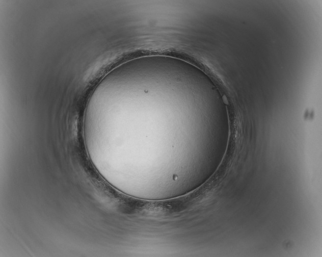 X0000111950685200907271437