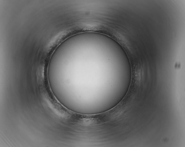 X0000111950686200907271437