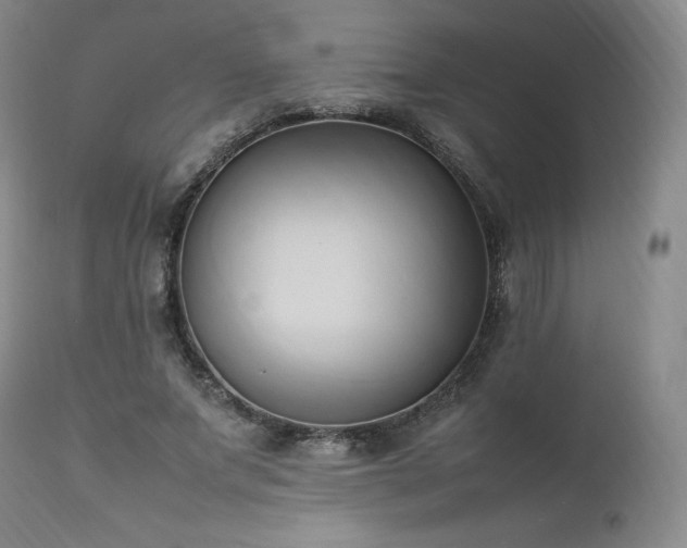 X0000111950687200907271437