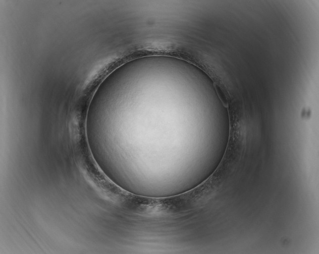 X0000111950688200907271437