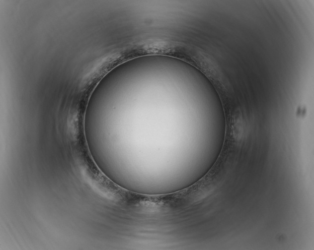 X0000111950690200907271437