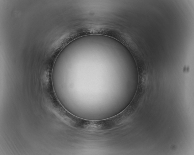 X0000111950691200907271437