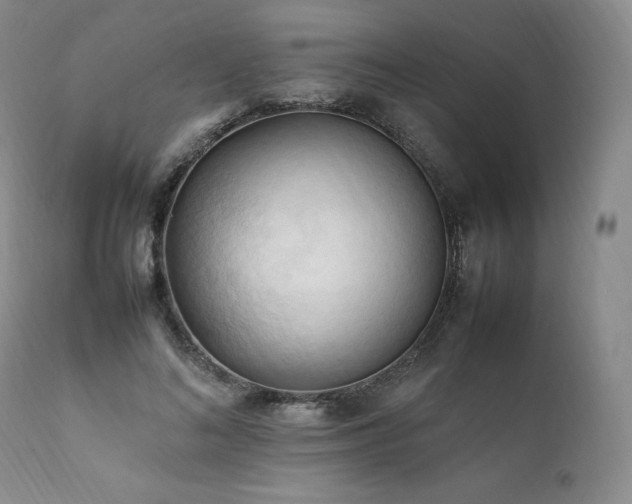 X0000111950692200907271437