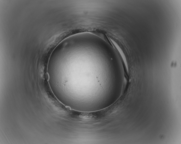 X0000111950693200907271437