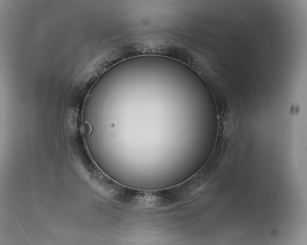 X0000111950695200907271437