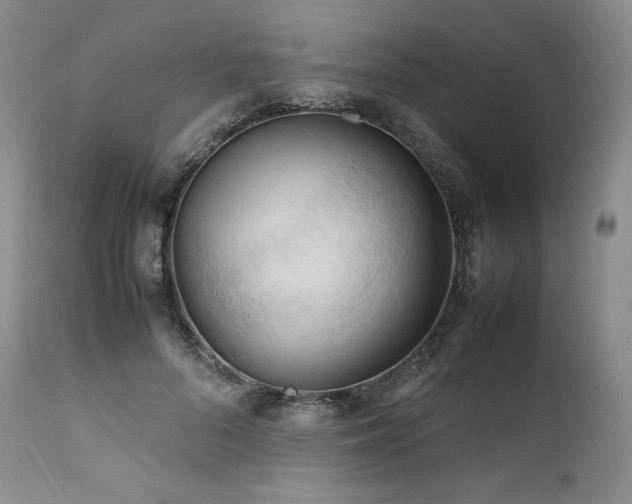X0000111950696200907271437