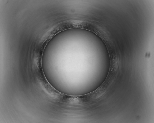 X0000111950698200907271437