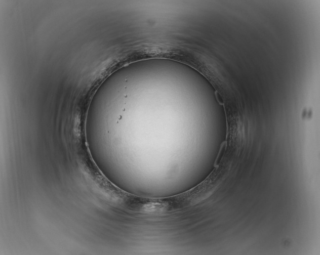 X0000111950700200907271437