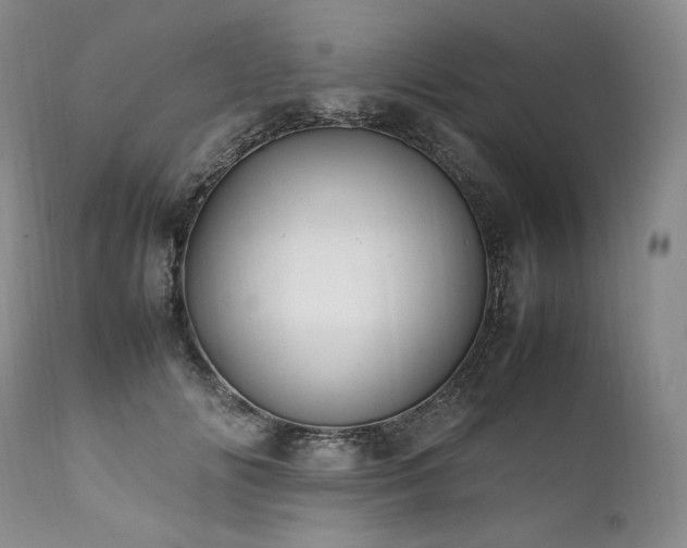 X0000111950702200907271437