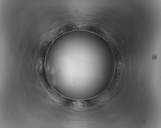 X0000111950703200907271437