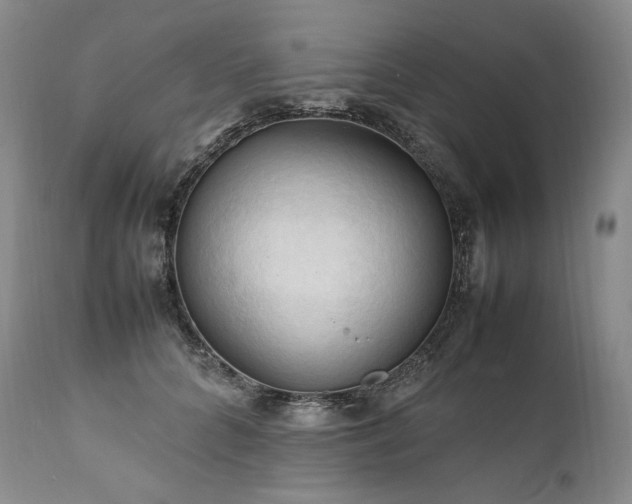 X0000111950704200907271437