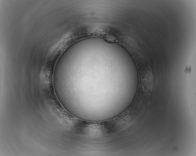 X0000111950708200907271437
