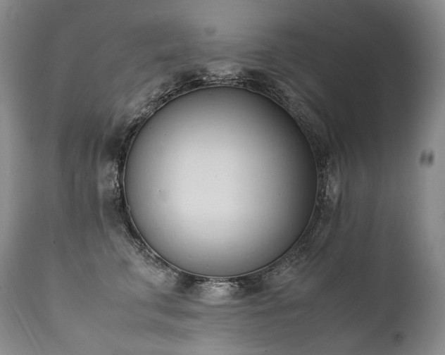 X0000111950711200907271437