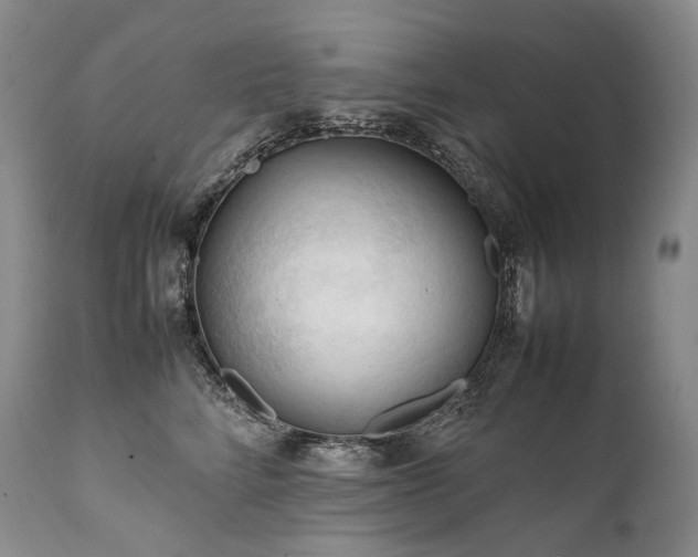 X0000111950712200907271437