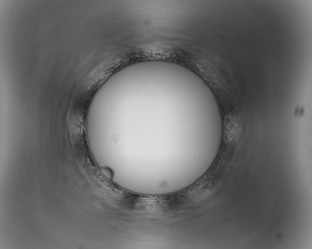 X0000111950713200907271437