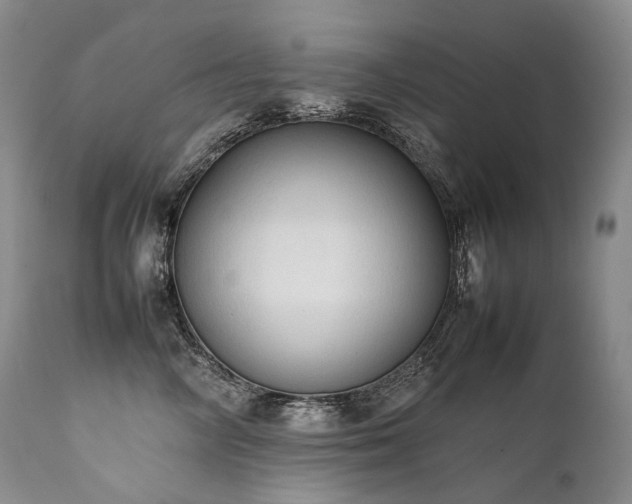 X0000111950714200907271437