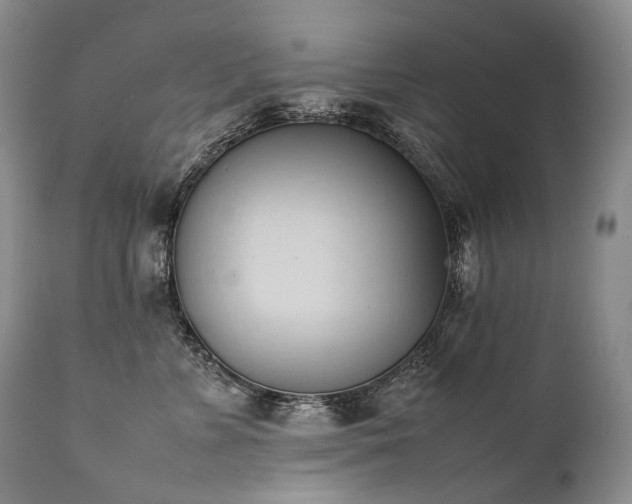 X0000111950715200907271437
