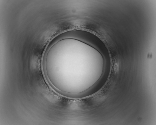 X0000111950716200907271437