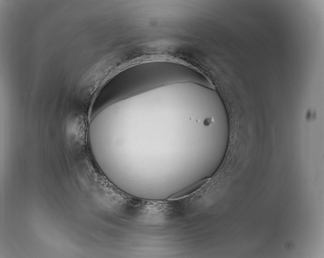X0000111950720200907271436