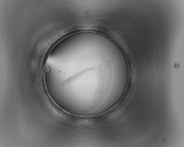 X0000111950721200907271436