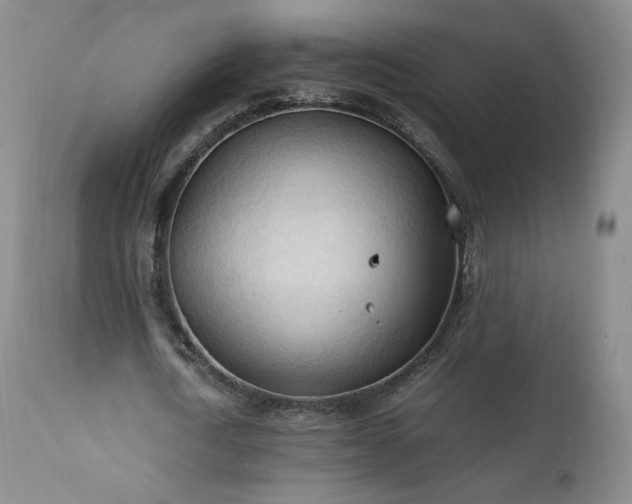 X0000111950722200907271436