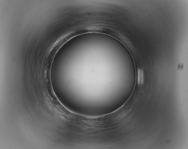 X0000111950723200907271436