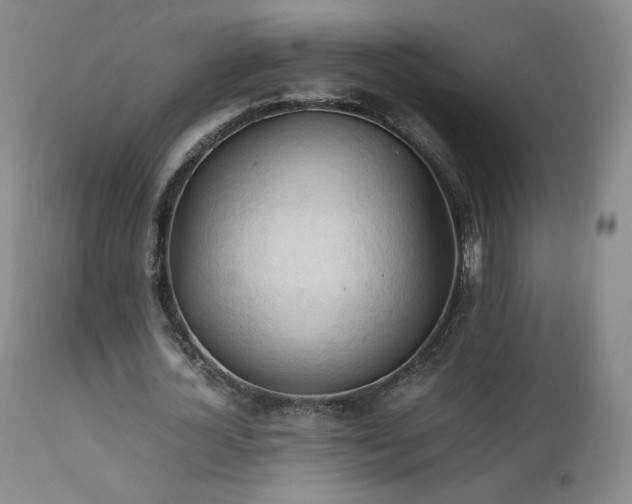 X0000111950724200907271436