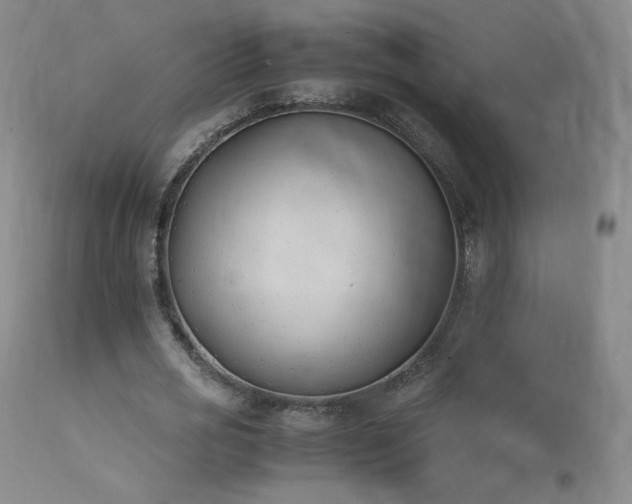 X0000111950725200907271436