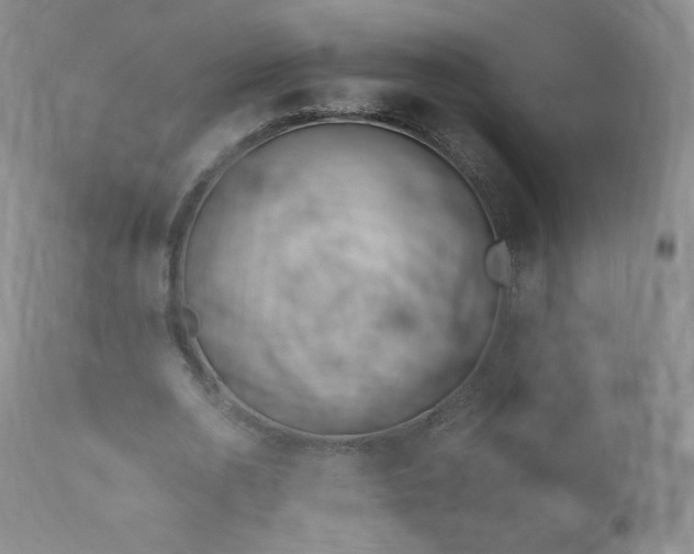 X0000111950726200907271436