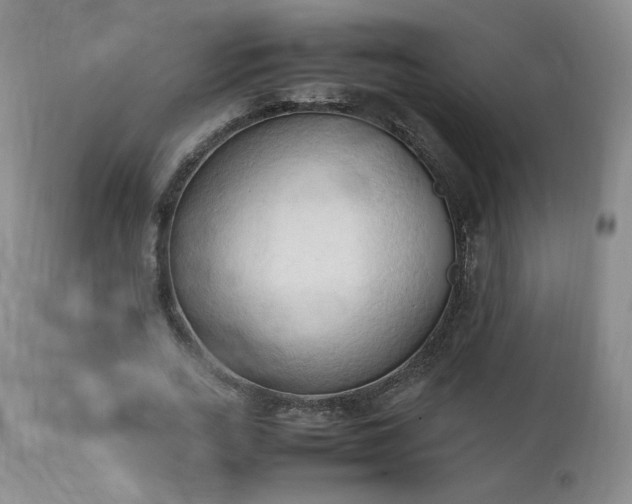 X0000111950727200907271436