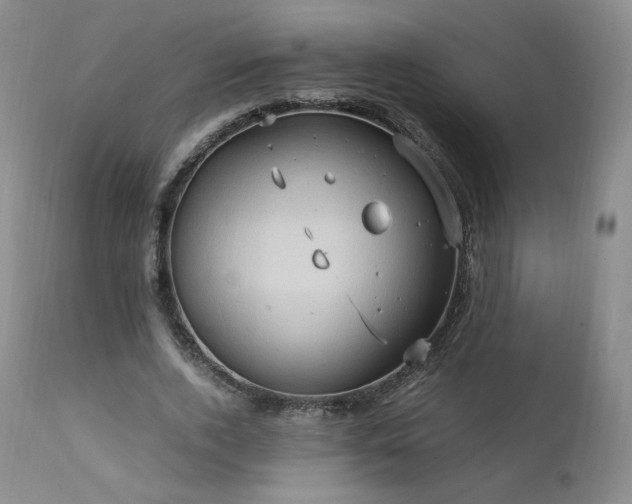 X0000111950728200907271436