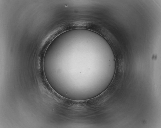 X0000111950731200907271436