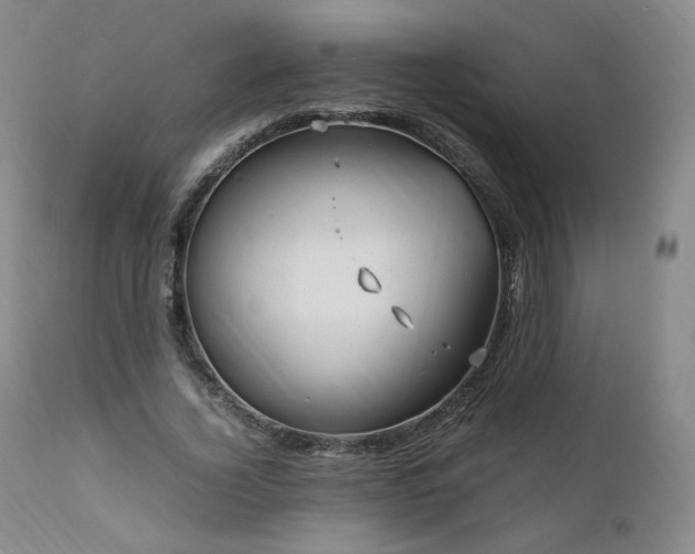 X0000111950732200907271436