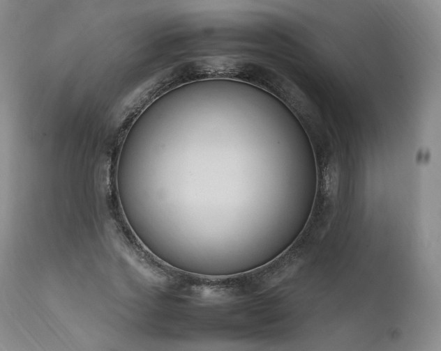 X0000111950733200907271436