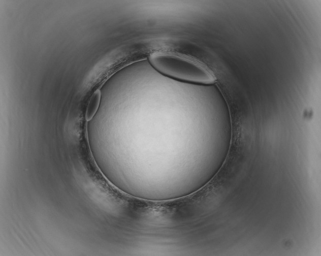 X0000111950736200907271436