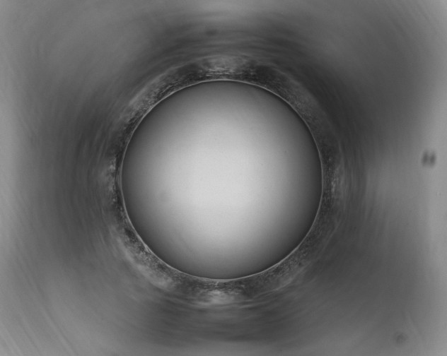X0000111950737200907271436