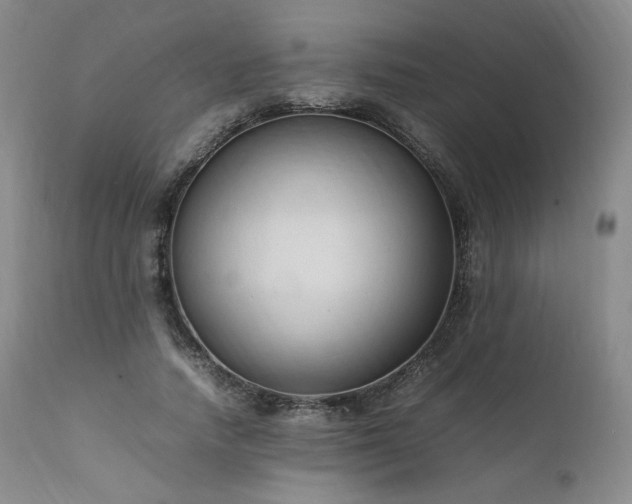X0000111950738200907271436