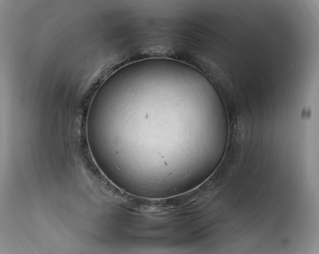 X0000111950739200907271436
