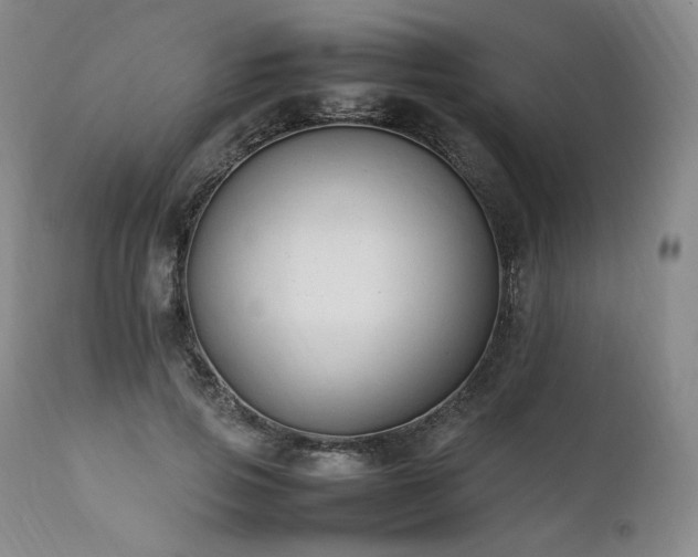 X0000111950741200907271436
