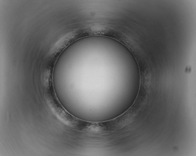 X0000111950742200907271436