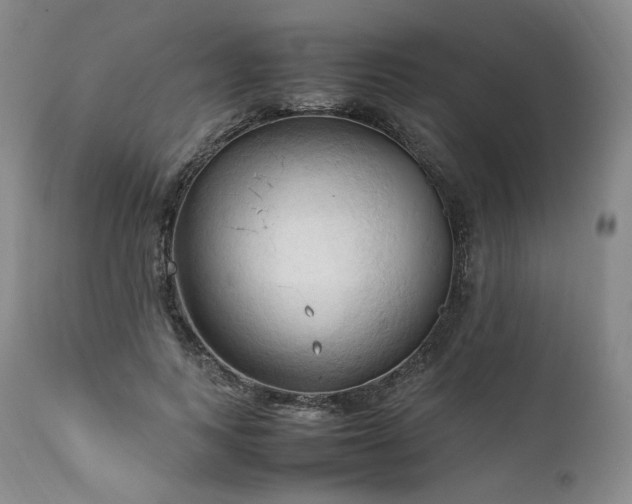 X0000111950743200907271436