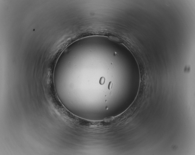 X0000111950744200907271436