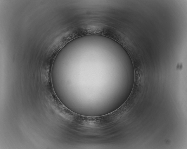 X0000111950745200907271436
