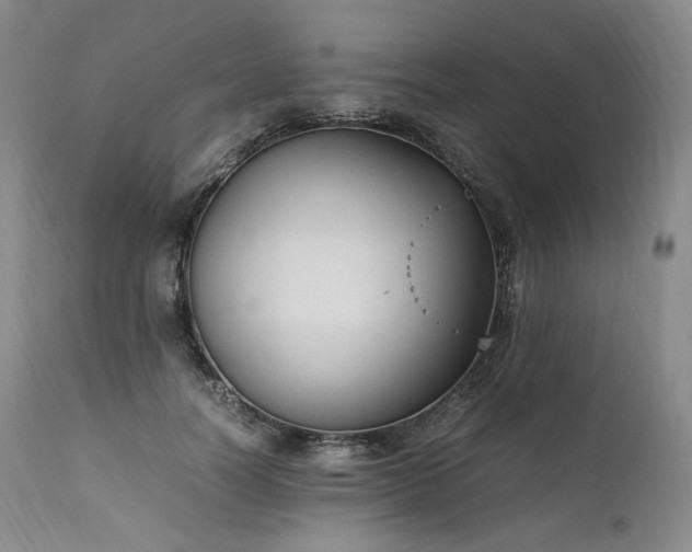 X0000111950746200907271436