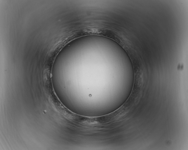 X0000111950747200907271436