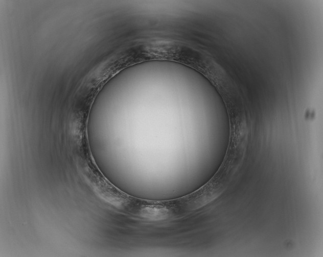 X0000111950749200907271436
