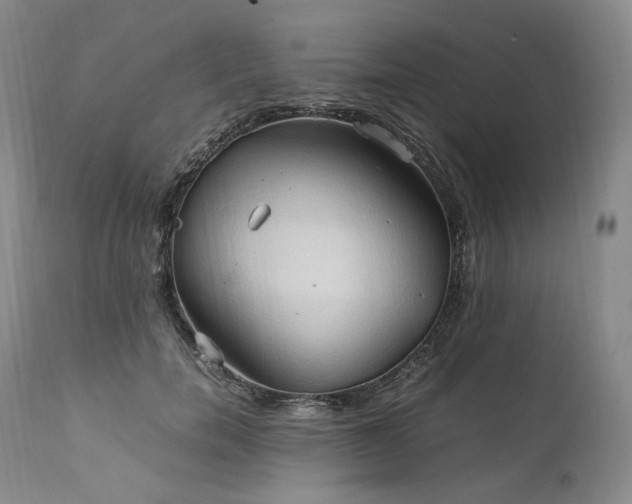 X0000111950750200907271436