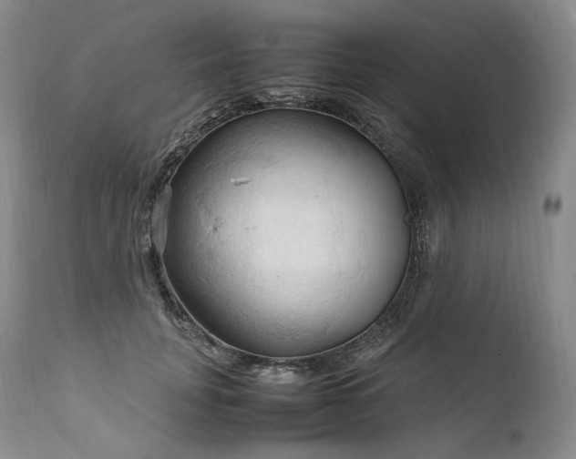 X0000111950751200907271436